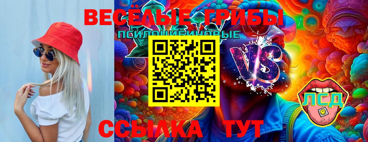Галлюциногенные грибы GOLDEN TEACHER Ишим